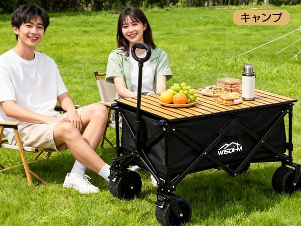 Amazon.co.jp: 「WISDHM」 キャリーワゴン キャリーカート 高耐荷重